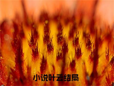 趣逸杂货铺（叶云）全文免费阅读无弹窗大结局_趣逸杂货铺最新章节列表