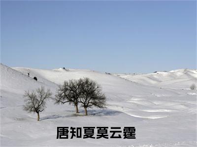 唐知夏莫云霆（唐知夏莫云霆）全文阅读-（唐知夏莫云霆）小说免费阅读最新章节