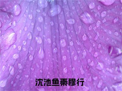 沈池鱼秦穆行（沈池鱼秦穆行）最新免费阅读-沈池鱼秦穆行小说在线阅读