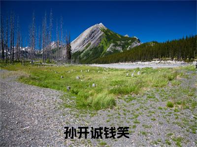 孙开诚钱笑全文最新章节正版小说免费阅读