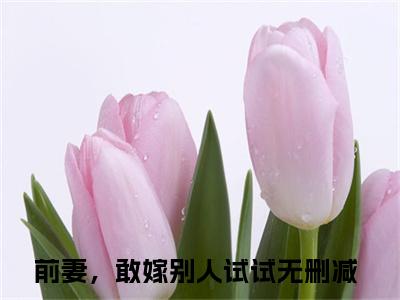 路晟盛婉婉（前妻，敢嫁别人试试）全文免费阅读无弹窗大结局_前妻，敢嫁别人试试最新章节列表