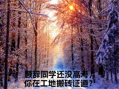 同学还没高考，你在工地搬砖证道？小说顾辞全文免费阅读无弹窗-正版小说（顾辞）同学还没高考，你在工地搬砖证道？全文阅读