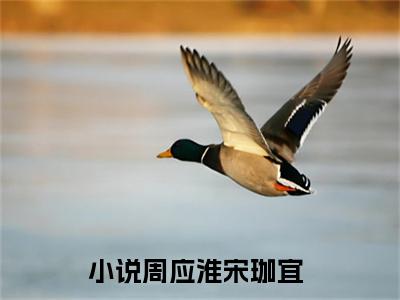 周应淮宋珈宜（周应淮宋珈宜）全文免费阅读无弹窗大结局_周应淮宋珈宜免费阅读最新章节列表_笔趣阁（周应淮宋珈宜）