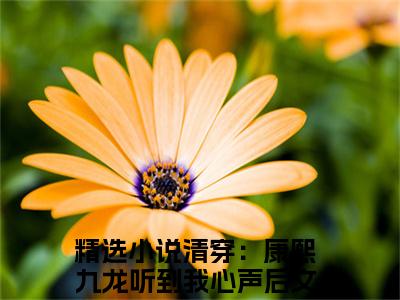 清穿：康熙九龙听到我心声后文瑶（清穿：康熙九龙听到我心声后文瑶）最新章节阅读-清穿：康熙九龙听到我心声后文瑶小说大结局