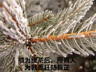 （成为绿茶后，所有人为我疯狂陆有芷）全文免费阅读无弹窗大结局_成为绿茶后，所有人为我疯狂陆有芷免费小说最新章节列表笔趣阁（成为绿茶后，所有人为我疯狂陆有芷）