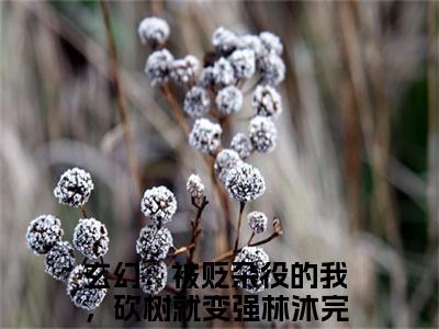 《玄幻：被贬杂役的我，砍树就变强林沐》最新章节_玄幻：被贬杂役的我，砍树就变强林沐全文阅读