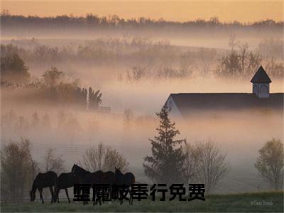 堕魔岐奉行小说（堕魔岐奉行）全文免费阅读无弹窗大结局_（堕魔岐奉行小说全文免费阅读无弹窗）堕魔岐奉行最新章节列表_笔趣阁（堕魔岐奉行小说）