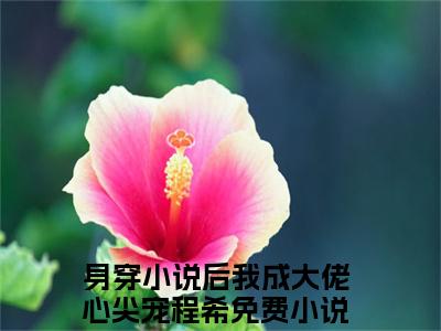 身穿小说后我成大佬心尖宠程希（身穿小说后我成大佬心尖宠程希）全文免费阅读无弹窗_身穿小说后我成大佬心尖宠程希最新小说_笔趣阁（身穿小说后我成大佬心尖宠程希）