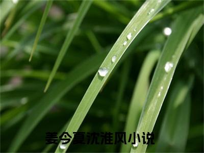 姜今夏沈淮风（姜今夏沈淮风）全文免费阅读无弹窗_姜今夏沈淮风最新小说_笔趣阁（姜今夏沈淮风）