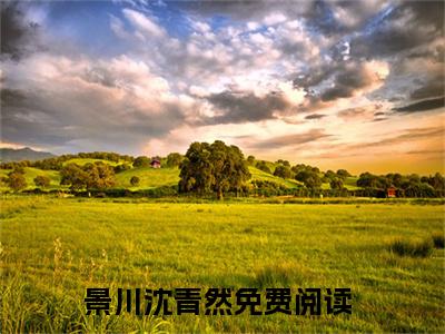 景川沈青然小说限时免费，相公，起床吃软饭了完结版小说阅读无弹窗_笔趣阁