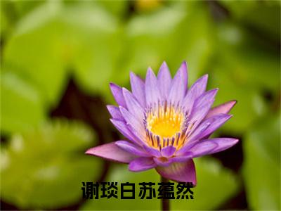 谢琰白苏蕴然（谢琰白苏蕴然）全文免费阅读无弹窗大结局_谢琰白苏蕴然小说最新章节列表