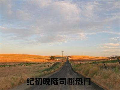 纪初晚陆司栩全文（纪初晚陆司栩）全文免费阅读无弹窗大结局_（纪初晚陆司栩）纪初晚陆司栩最新章节列表