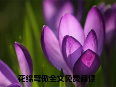 花绵穹傲抖音最新热点小说，花绵穹傲小说最新章节阅读