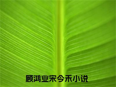 小说(顾鸿业宋今禾)免费阅读-顾鸿业宋今禾小说全文在线赏析