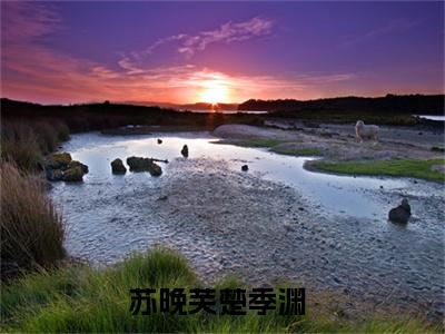 苏晚芙楚季渊小说全文-苏晚芙楚季渊最新章节免费阅读苏晚芙楚季渊小说