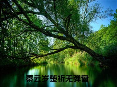 秦云岁楚祈（秦云岁楚祈）抖音热推小说全集无删减_秦云岁楚祈最新章节列表_笔趣阁