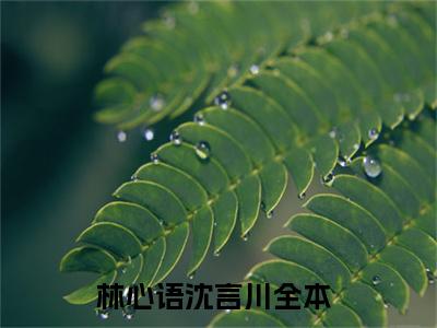 林心语沈言川（林心语沈言川全文免费阅读）小说最新章节_林心语沈言川全文免费阅读最新章节列表