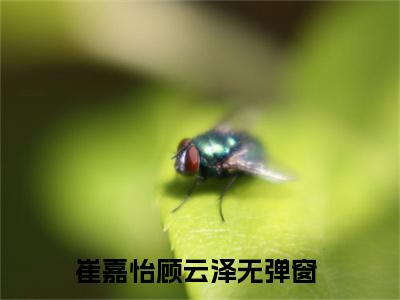 崔嘉怡顾云泽（崔嘉怡顾云泽）全章节完整版《崔嘉怡顾云泽》全文阅读TXT《崔嘉怡顾云泽》