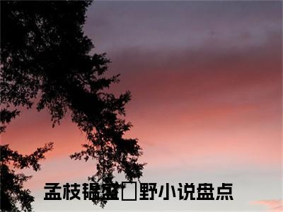 孟枝韫盛彧野（孟枝韫盛彧野小说全文）在线阅读-孟枝韫盛彧野全文免费阅读无弹窗大结局