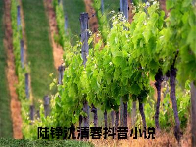 小说（陆铮沈清蓉）最新章节免费阅读-（陆铮沈清蓉）小说全文无删减版