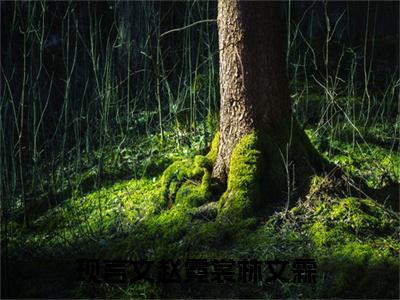 赵霓裳林文霖最新章节（赵霓裳林文霖全文+后续）全文免费阅读无弹窗大结局_赵霓裳林文霖全文+后续免费阅读（赵霓裳林文霖）