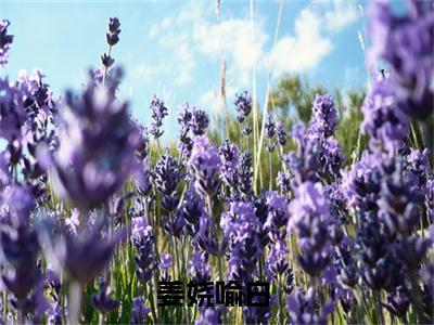 快穿：满级美人攻略日常最新章节（姜娆喻白小说）全文免费阅读无弹窗大结局_姜娆喻白小说免费阅读（快穿：满级美人攻略日常）