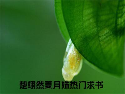 楚翊然夏月姝（楚翊然夏月姝）全文免费阅读无弹窗大结局-（楚翊然夏月姝免费阅读全文大结局）最新章节