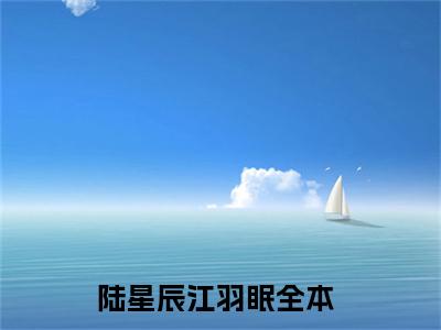 陆星辰江羽眠全文（陆星辰江羽眠免费小说-完整版-陆星辰江羽眠在线赏析）最新章节已更新版