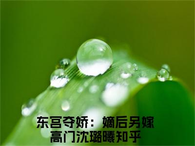 东宫夺娇：嫡后另嫁高门沈璐曦全文免费完整版 东宫夺娇：嫡后另嫁高门沈璐曦在线试读