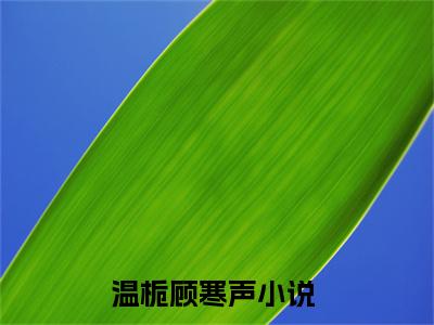 温栀顾寒声小说全文免费阅读，温栀顾寒声完整版