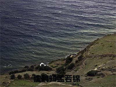 沈鹤知孟若锦（沈鹤知孟若锦txt）全文免费阅读无弹窗大结局_沈鹤知孟若锦最新章节列表_笔趣阁（沈鹤知孟若锦txt）