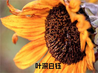 叶深白钰最后结局如何，惊，全网黑女星是电竞大魔王强推全文阅读无弹窗