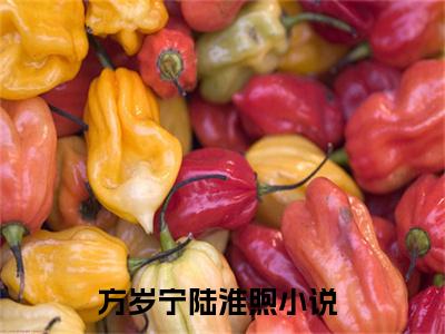 小说(方岁宁陆淮煦)免费阅读-方岁宁陆淮煦小说全文在线赏析