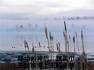 殷呈林念（嫁给凶神后，貌美小夫郎被宠上天小说）全文免费阅读无弹窗大结局_（嫁给凶神后，貌美小夫郎被宠上天小说）殷呈林念最新章节列表