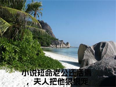 短命老公还活着，夫人把他狠狠宠（徐瑾之谢言川）全文免费阅读无弹窗大结局_徐瑾之谢言川小说在线阅读无删减