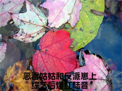 主角是恶毒姑姑和反派崽上综艺后爆红陆音的小说叫什么名字-恶毒姑姑和反派崽上综艺后爆红陆音小说全文免费阅读