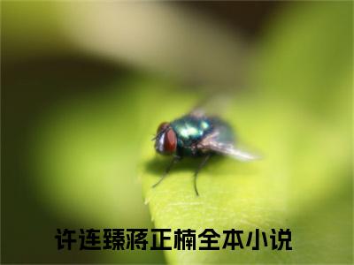 许连臻蒋正楠最火热点小说最新更新-许连臻蒋正楠全文免费无弹窗