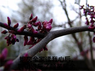 炮灰全家读我心后，嗷嗷造反了颜芊毓（炮灰全家读我心后，嗷嗷造反了颜芊毓）全文免费阅读无弹窗大结局_（炮灰全家读我心后，嗷嗷造反了颜芊毓）最新章节列表笔趣阁