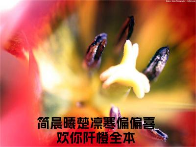 简晨曦楚凛寒偏偏喜欢你阡橙全文免费阅读_（简晨曦楚凛寒偏偏喜欢你阡橙免费阅读无弹窗）简晨曦楚凛寒偏偏喜欢你阡橙最新章节列表笔趣阁