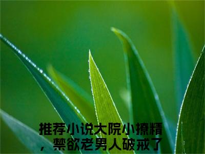 大院小撩精，禁欲老男人破戒了（阎仲毅夏小瑕）全文免费阅读无弹窗大结局_阎仲毅夏小瑕完整版小说阅读（大院小撩精，禁欲老男人破戒了）