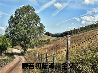 顾若初陆泽川小说限时免费，顾若初陆泽川完结版小说阅读无弹窗_笔趣阁