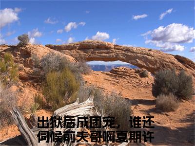 出狱后成团宠，谁还伺候前夫哥啊夏期许（出狱后成团宠，谁还伺候前夫哥啊夏期许）全文小说在线阅读-出狱后成团宠，谁还伺候前夫哥啊夏期许全章节最新阅读