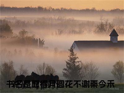 愿得月圆花不谢秦今禾（愿得月圆花不谢秦今禾小说）全文免费阅读无弹窗大结局_愿得月圆花不谢秦今禾小说最新章节列表_笔趣阁（愿得月圆花不谢秦今禾）