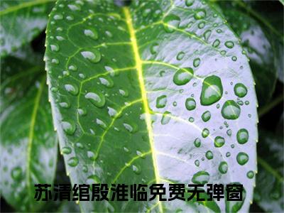 苏清绾殷淮临完整版最新小说大结局-苏清绾殷淮临最新章节免费阅读