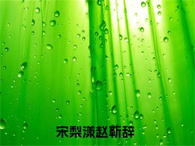 宋梨漾赵靳辞(宋梨漾赵靳辞)全文免费阅读最新章节大结局_ 宋梨漾赵靳辞全文免费阅读最新章节列表_笔趣阁