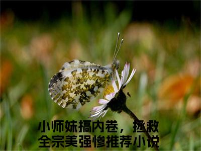 小师妹搞内卷，拯救全宗美强惨最新章节（言望舒）全文免费阅读无弹窗大结局_言望舒小师妹搞内卷，拯救全宗美强惨全文免费阅读