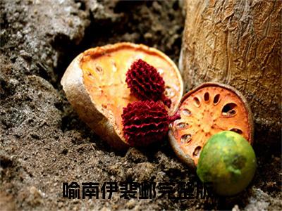 喻南伊裴邺全文免费阅读_喻南伊裴邺无弹窗最新章节