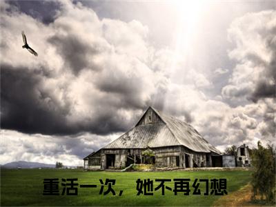 边月萧如风（重活一次，她不再幻想）全文免费阅读无弹窗无删减_小说（边月萧如风）重活一次，她不再幻想+后续评价五颗星
