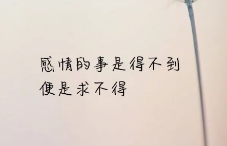 qq空间伤感短语 听着一首歌，受伤的人还是我