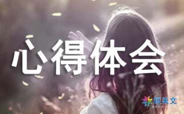 团队协作精神心得体会（精选6篇）